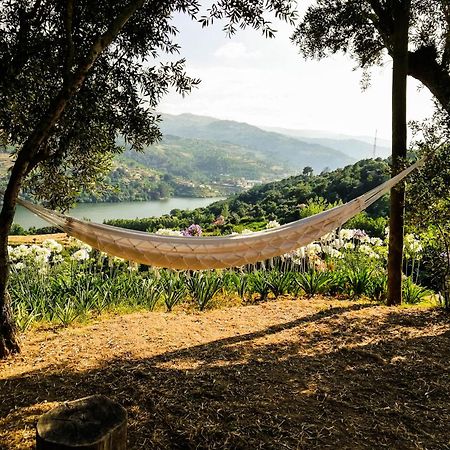 Casa Da Mouta - Douro Valley Байан Экстерьер фото