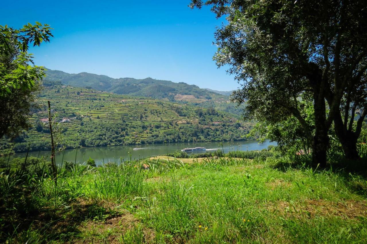 Casa Da Mouta - Douro Valley Байан Экстерьер фото