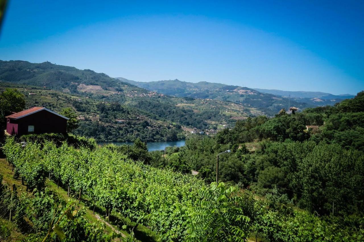 Casa Da Mouta - Douro Valley Байан Экстерьер фото