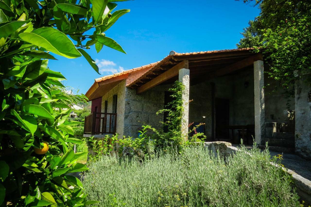 Casa Da Mouta - Douro Valley Байан Экстерьер фото