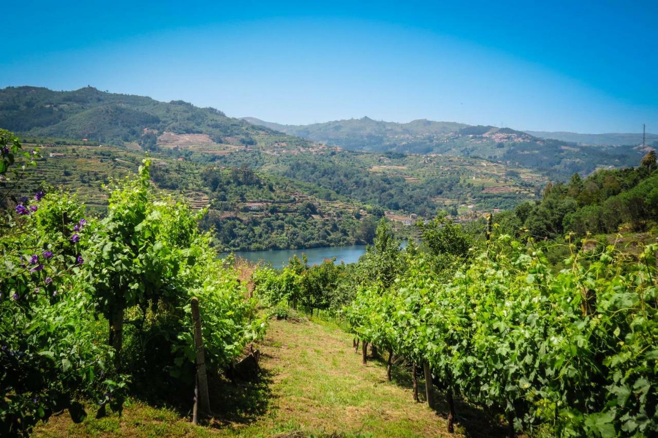 Casa Da Mouta - Douro Valley Байан Экстерьер фото