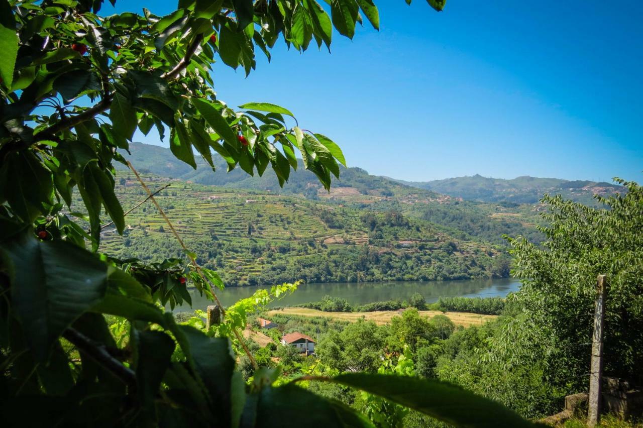 Casa Da Mouta - Douro Valley Байан Экстерьер фото