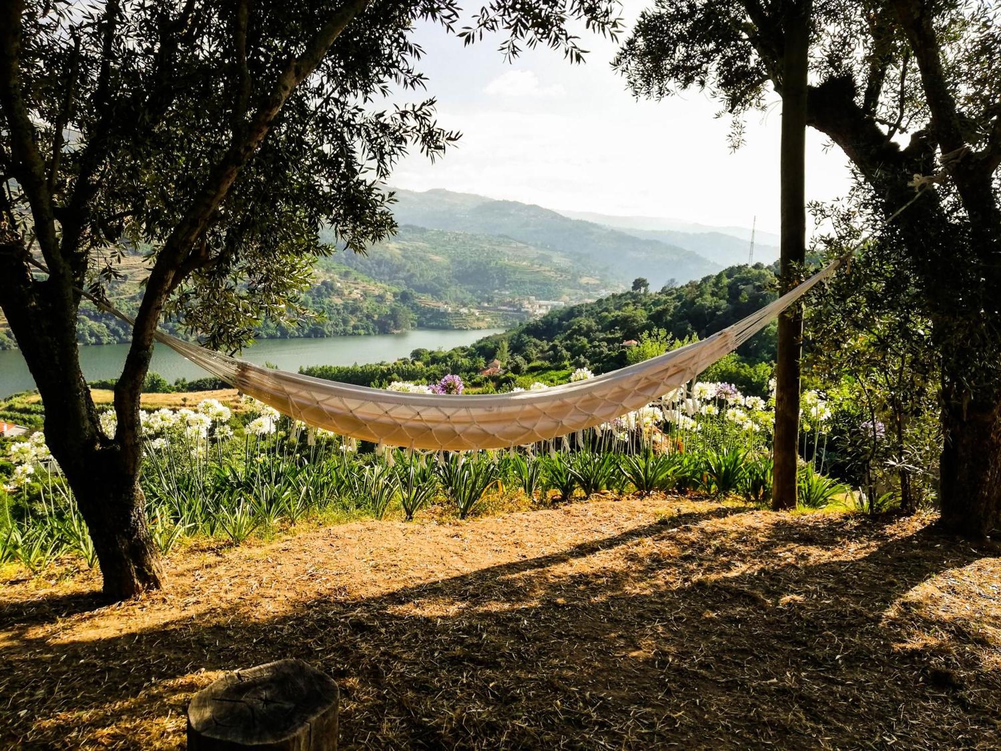 Casa Da Mouta - Douro Valley Байан Экстерьер фото