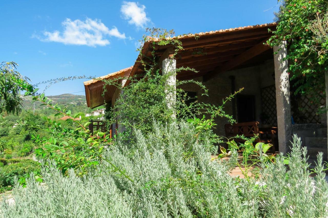 Casa Da Mouta - Douro Valley Байан Экстерьер фото